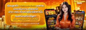 คาสิโนออนไลน์ tigerwin369 เว็บพนันครบวงจร